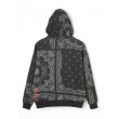 画像2: TAIN DOUBLE PUSH / paisley hoodie (2)