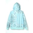 画像2: TAIN DOUBLE PUSH / paisley hoodie (2)