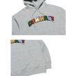 画像3: DOMINANT / rainbow hoodie (3)