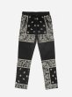 画像1: PROFOUND / bandana paisley cotton twill pants (1)