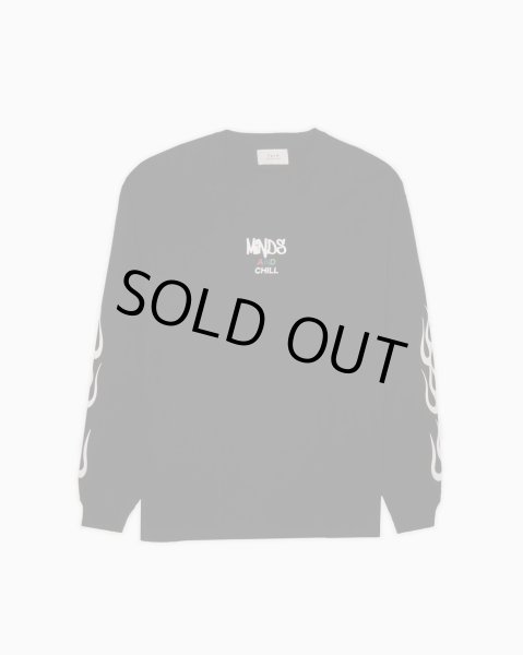 画像2: TAIN DOUBLE PUSH × MINDS / drink me flower l/s tee (2)