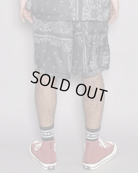 画像5: TAIN DOUBLE PUSH / paisley shorts (5)