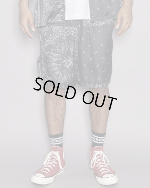 画像3: TAIN DOUBLE PUSH / paisley shorts (3)
