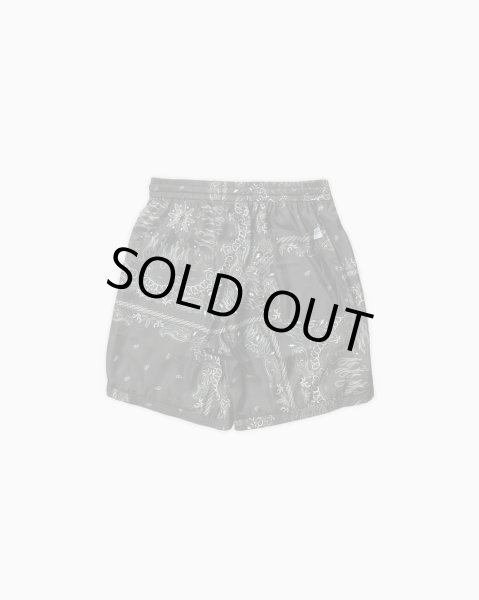 画像2: TAIN DOUBLE PUSH / paisley shorts (2)