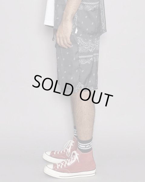 画像4: TAIN DOUBLE PUSH / paisley shorts (4)