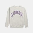 画像1: TAIN DOUBLE PUSH / double push heavy crew sweat (1)