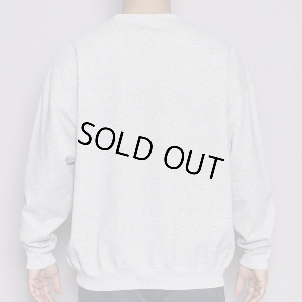 画像5: TAIN DOUBLE PUSH / double push heavy crew sweat (5)