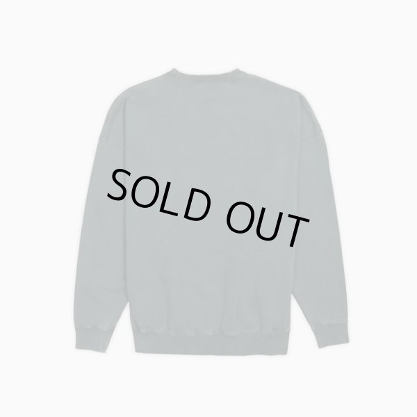 画像2: TAIN DOUBLE PUSH / double push heavy crew sweat (2)