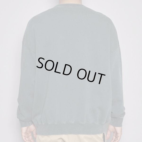 画像5: TAIN DOUBLE PUSH / double push heavy crew sweat (5)