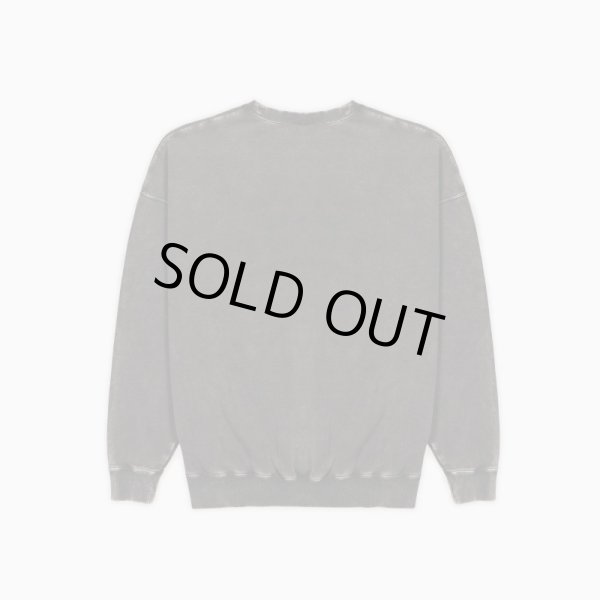 画像2: TAIN DOUBLE PUSH / double push heavy crew sweat (2)