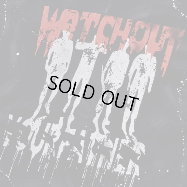 画像3: SOMEIT / w.o.f vintage l/s tee (3)