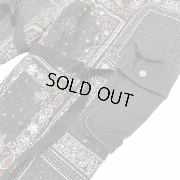 画像4: ROGIC / paisley bondage pants (4)