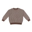 画像1: VANDYTHEPINK / "VIOR" logo knit coffee brown (1)