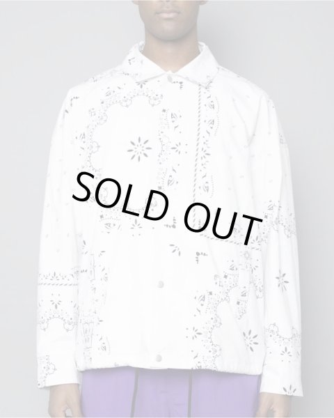 画像3: TAIN DOUBLE PUSH / tain parsley coach shirts (3)