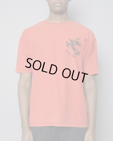 画像7: TAIN DOUBLE PUSH / hell year s/s tee (7)