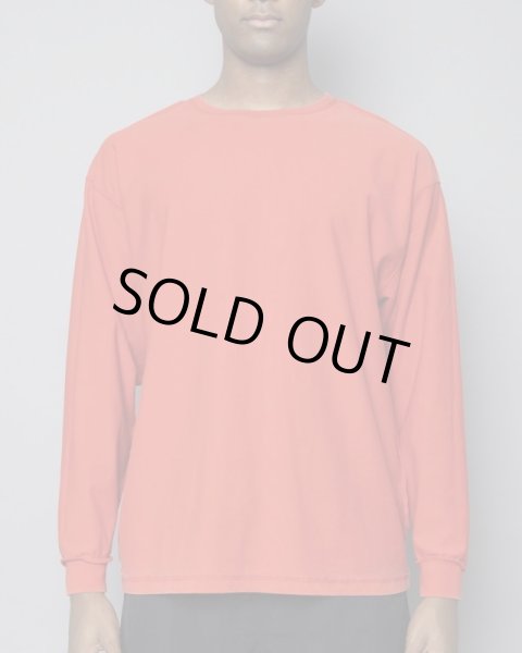 画像7: TAIN DOUBLE PUSH / power department l/s tee (7)