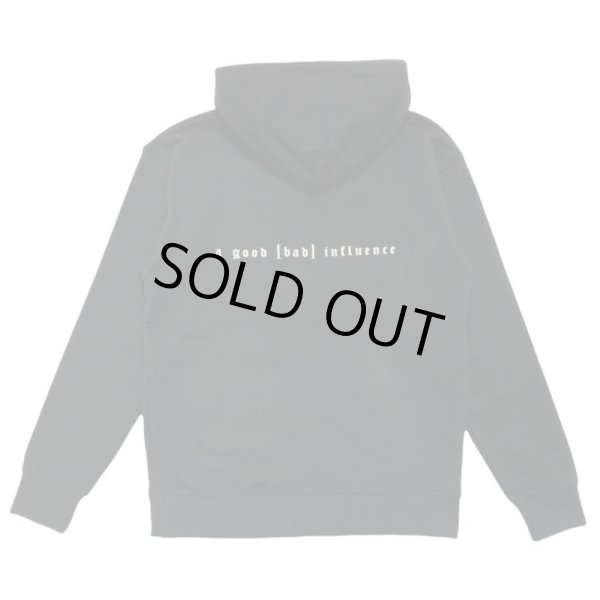 画像2: A GOOD BAD INFLUENCE / horses hoodie (2)
