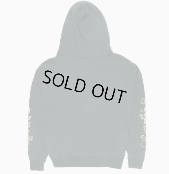 画像2: TAIN DOUBLE PUSH / double push heavy hoodie (2)