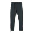 画像1: TAIN DOUBLE PUSH / tain addict lounge pants (1)