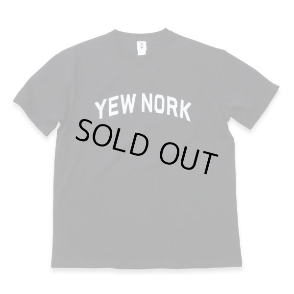 画像1: EXPANSION / YEW NORK tee (1)