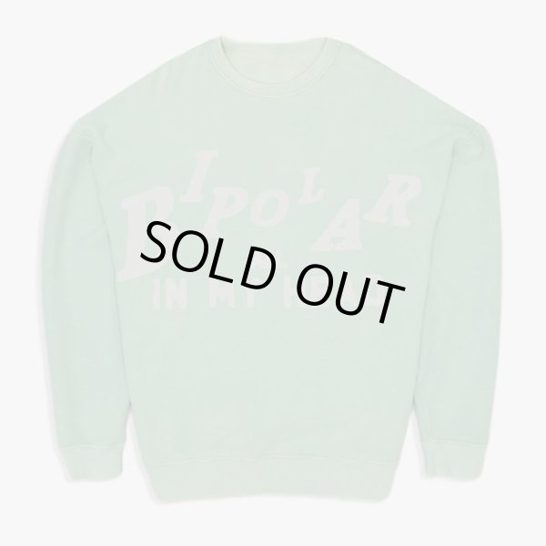 画像4: TAIN DOUBLE PUSH / bipolar crew sweat (4)