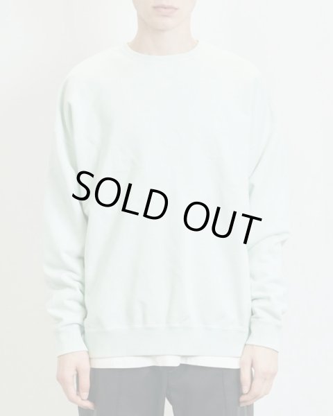 画像5: TAIN DOUBLE PUSH / bipolar crew sweat (5)