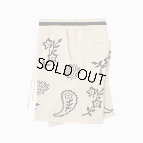 画像3: PROFOUND / knitted paisley shorts (3)