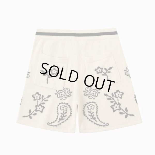画像2: PROFOUND / knitted paisley shorts (2)
