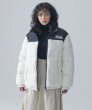 画像3: FIRST DOWN / bubble down jacket microft (3)