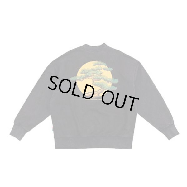 画像2: VANDYTHEPINK / PINETREE CREWNECK (2)