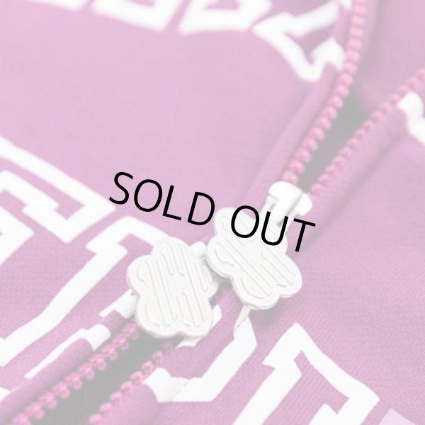 画像3: VANDYTHEPINK / COLLEGE ZIP HOODIE (3)