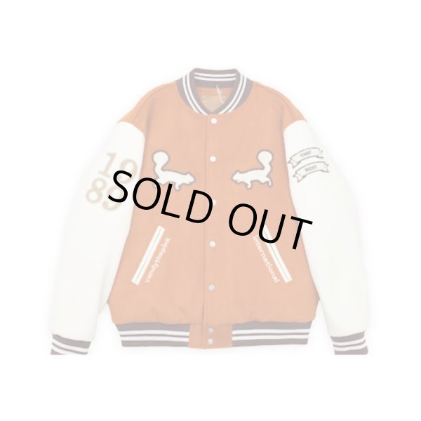 画像1: VANDYTHEPINK / PINETREE VARSITY JACKET (1)