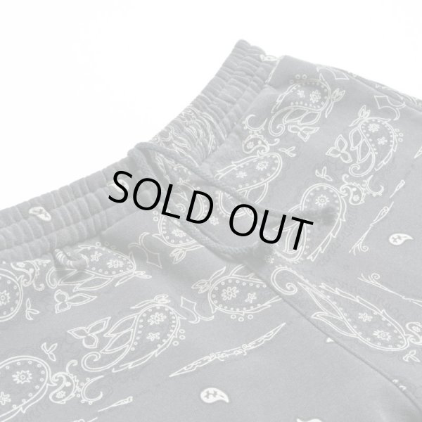 画像3: THE WORLD IS YOURS × INNOCENCE / paisley vintage shorts (3)