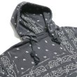 画像3: THE WORLD IS YOURS × INNOCENCE / paisley vintage hoodie (3)