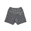 画像2: THE WORLD IS YOURS × INNOCENCE / paisley vintage shorts (2)