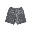 画像1: THE WORLD IS YOURS × INNOCENCE / paisley vintage shorts (1)