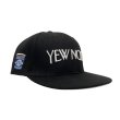 画像2: EXPANSION / YEW NORK bb cap (2)