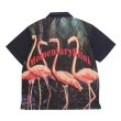画像2: MOMENTARY BLINK / flamingo shirts (2)