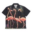 画像1: MOMENTARY BLINK / flamingo shirts (1)