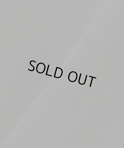 画像3: EXPANSION × AVIREX / icon hoodie (3)