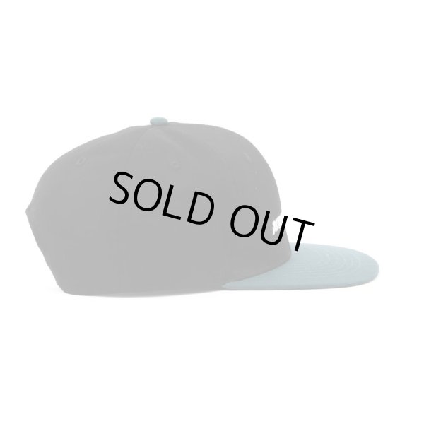 画像3: EXPANSION × AVIREX / flat visor cap (3)