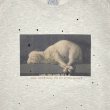 画像3: SOMEIT / sacrifice vintage sweat shirts (3)