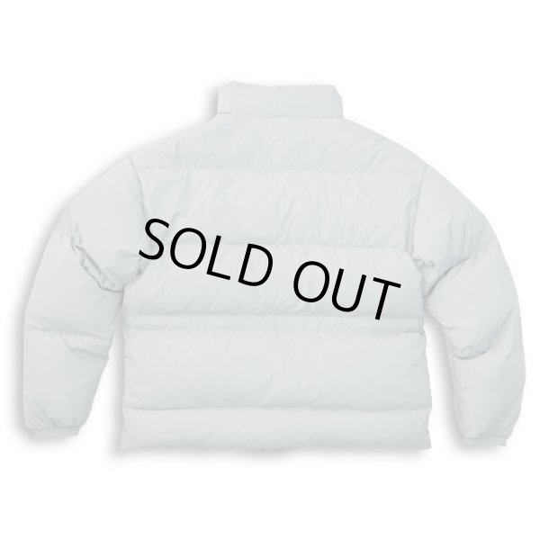 画像2: TAIN DOUBLE PUSH / double push reversible down jacket (2)