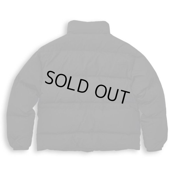 画像2: TAIN DOUBLE PUSH / double push reversible down jacket (2)