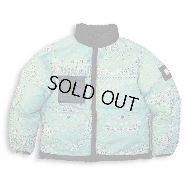 画像3: TAIN DOUBLE PUSH / double push reversible down jacket (3)