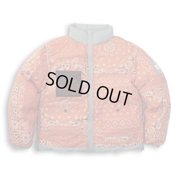 画像3: TAIN DOUBLE PUSH / double push reversible down jacket (3)