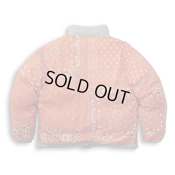 画像4: TAIN DOUBLE PUSH / double push reversible down jacket (4)