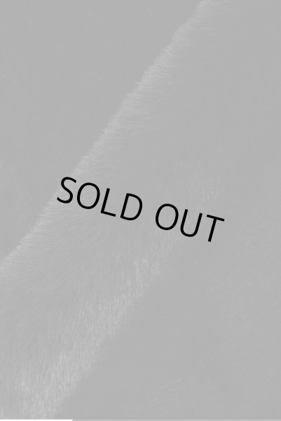 画像3: MLVINCE®︎ / faux fur jacket  (3)