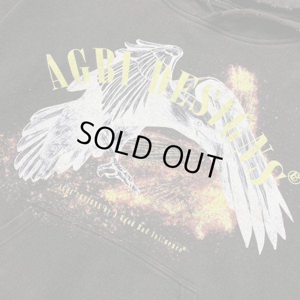 画像3: A GOOD BAD INFLUENCE / fire bird hoodie (3)