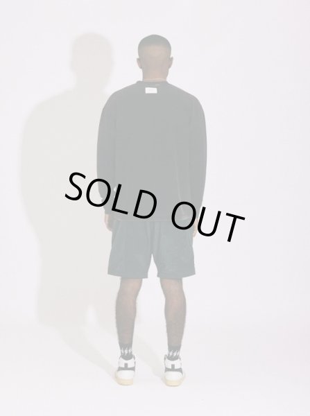 画像8: TAIN DOUBLE PUSH / double push l/s tee (8)